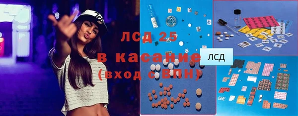 крисы Елабуга