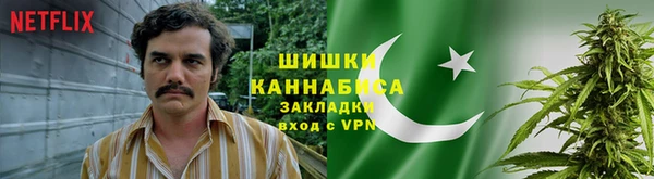 крисы Елабуга