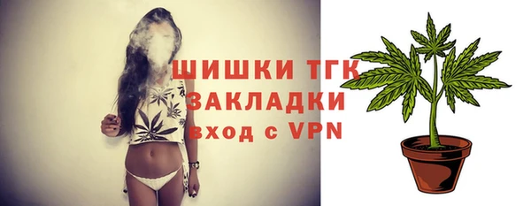 крисы Елабуга
