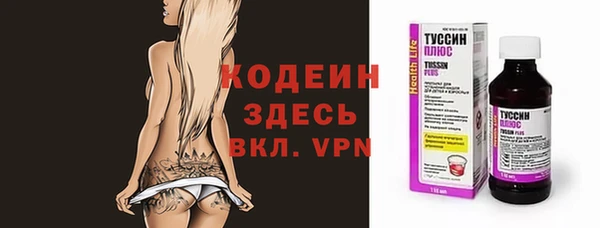 крисы Елабуга