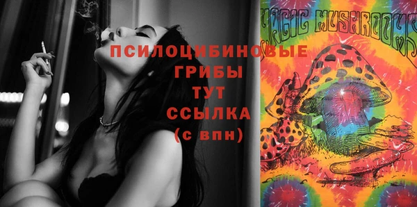 крисы Елабуга
