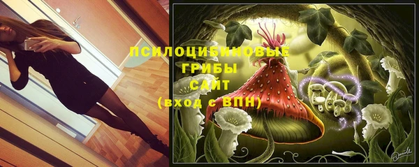 крисы Елабуга