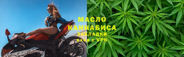 крисы Елабуга
